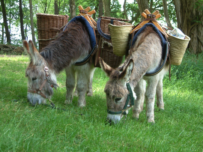 Ezelwandeling met knapzak