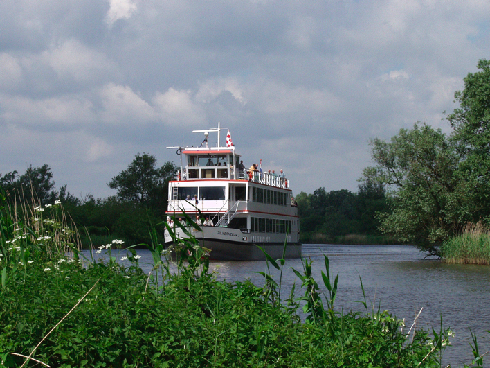 Rondvaart door De Biesbosch