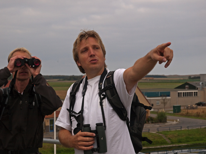 Image of Vogel safari Texel