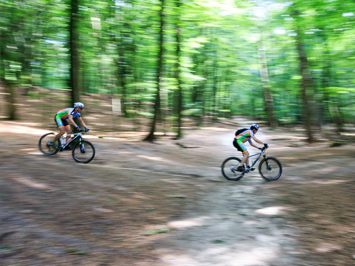 Image of Mountainbiken op de Veluwe