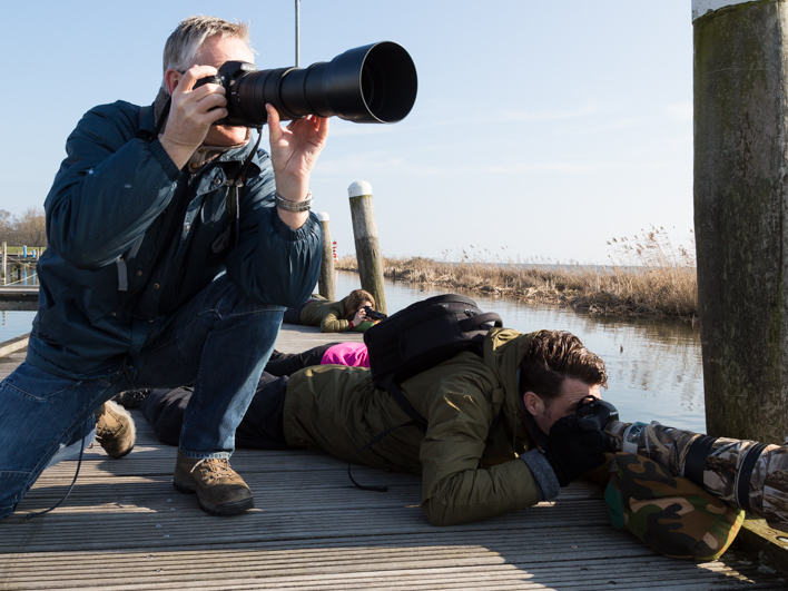 Workshop vogelfotografie Balts van de fuut