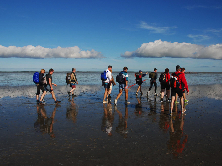 Wadden-Schiermonnikoog dagarrangement