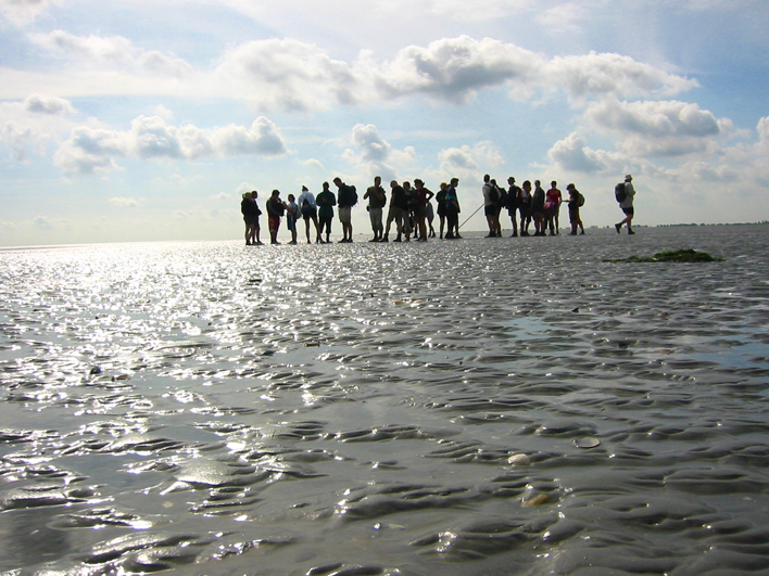 Wadlopen gezinstocht