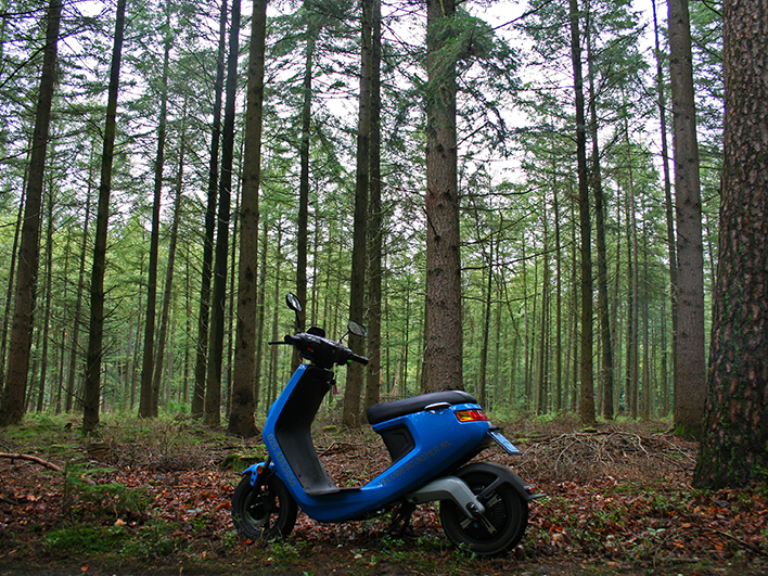 Stil scooteren over de Veluwe