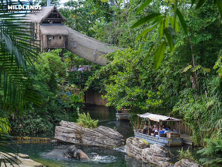 Ervaar WILDLANDS Adventure Zoo Emmen (65+)