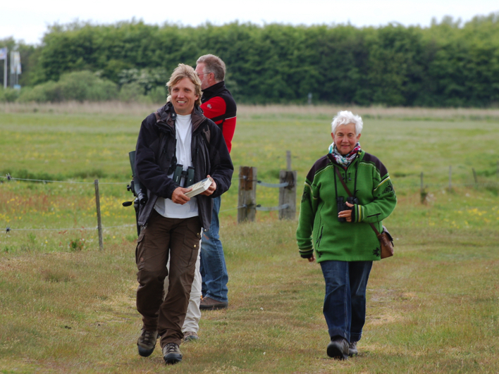 Vogelsafari op Texel