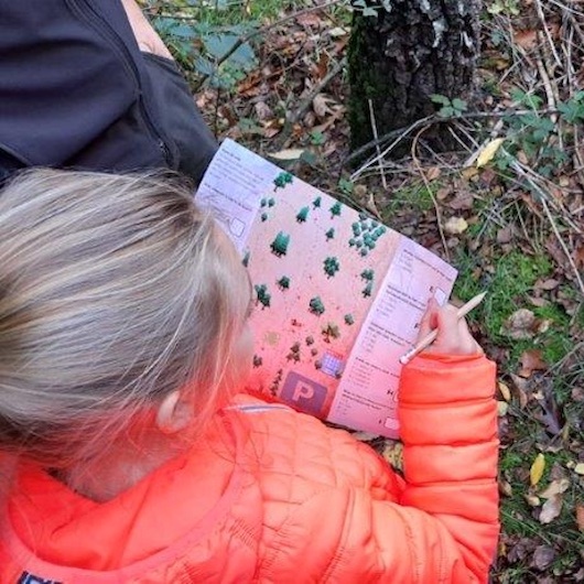 Gezinsspeurtocht over de Veluwe: Kraak de code