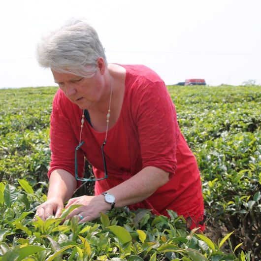 Unieke natuurlijke theeproeverij samen met je moeder