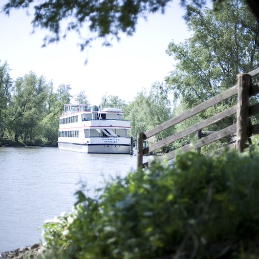 Ontspannen rondvaart door De Biesbosch