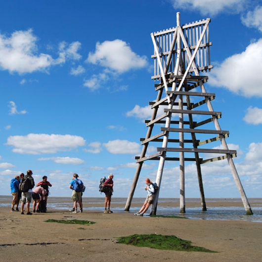 Wadden-Schiermonnikoog dagarrangement