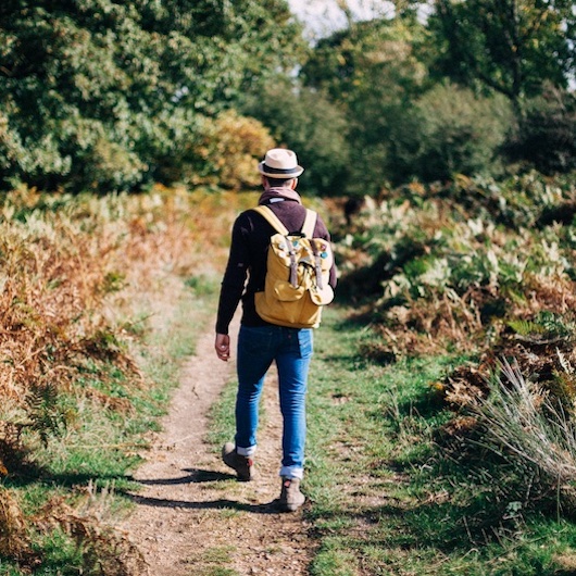 Wandeling ´geneeskracht van de natuur´