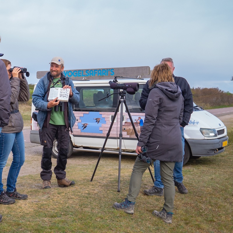 Vogelsafari op Texel