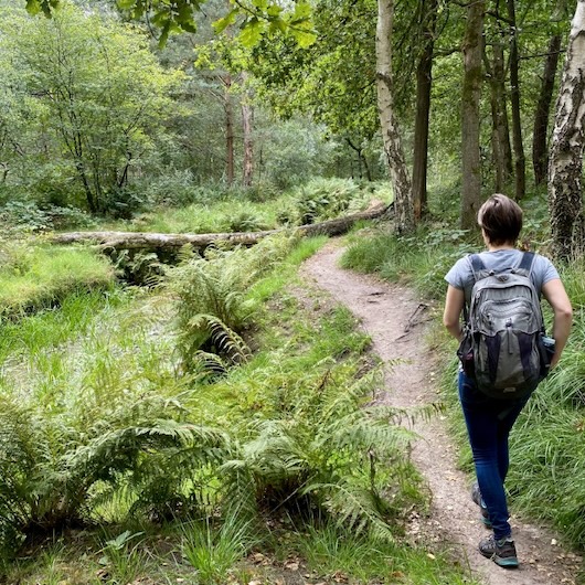 Verrassend Avontuur Noord-Brabant
