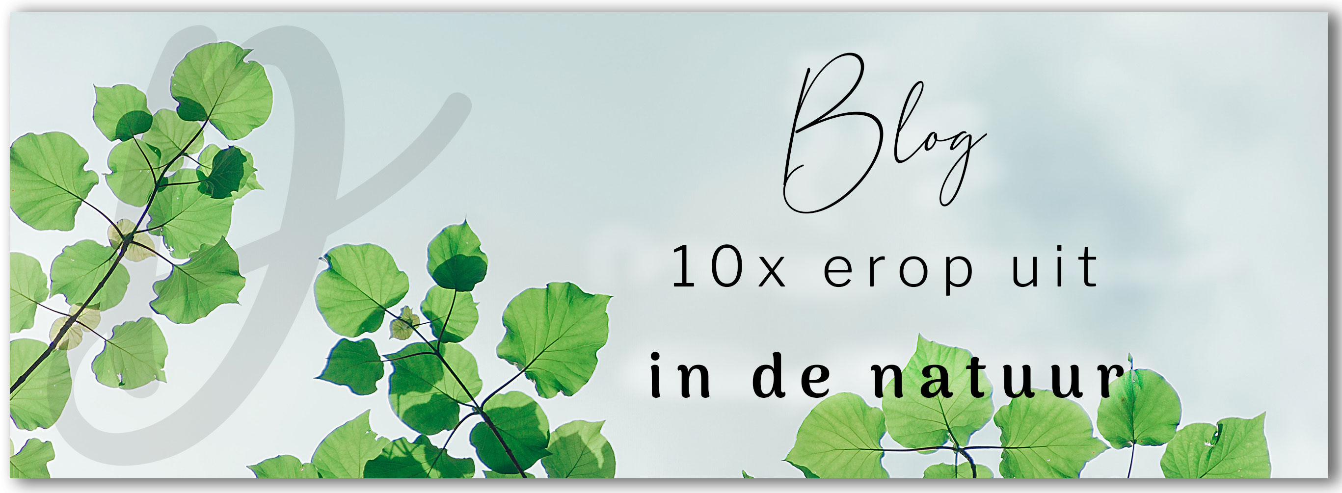 Blog 10 tips om erop uit te gaan in de natuur