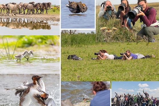 Servan Ott van Servan Ott Fotografie: